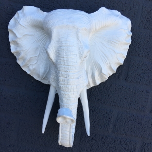 Schöner weißer Elefantenkopf als Wandschmuck, wunderbar!